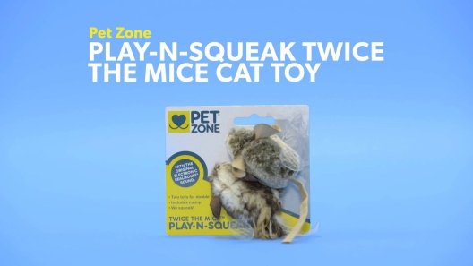Play Video: Learn More About Pet Zone From Our Team of Experts