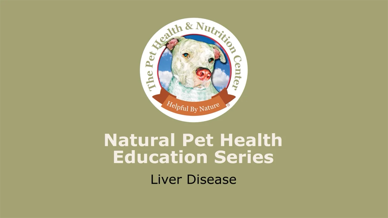 LIver Disease in Dogs and Cats