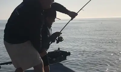 Venice Report Video 0