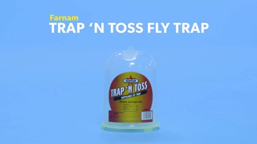 EZ Fly Trap