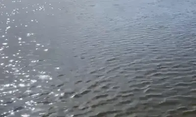 Marco Island Report Video 2