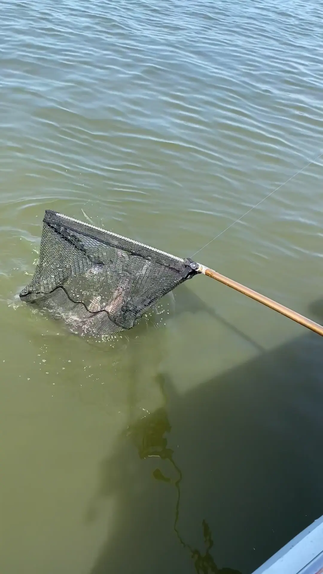 Business Card: Carolina Hook N' Reel