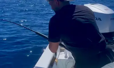 San Jose del Cabo Report Video 1