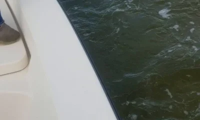 Crystal River Report Video 0
