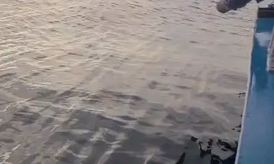 good man , working hard, it is difficult for one man job. 