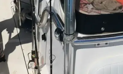 Venice Report Video 0