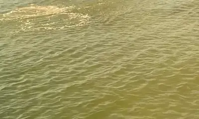 Port Orange Report Video 0