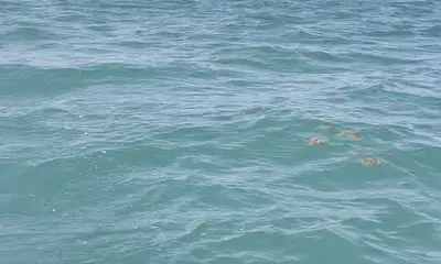 Key West Видео отчет 0