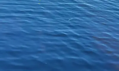 Clewiston Report Video 3