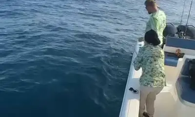 Fujairah Report Video 1