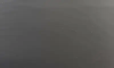 South Bay Report Video 0
