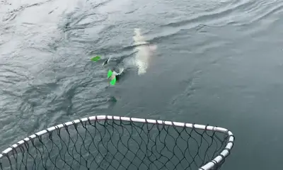 Erie Report Video 0