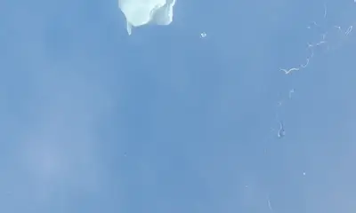 Aransas Bay Report Video 1