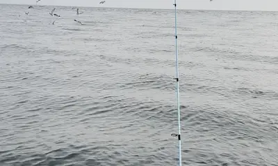 Long Island Report Video 2