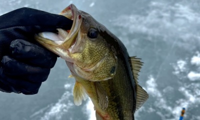 Rhinelander Report Video 0