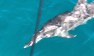 great boat, great people