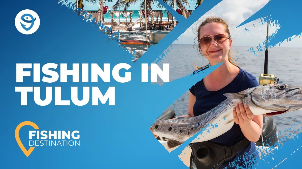 Fishing in TULUM: The Complete Guide