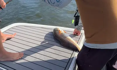 Beautiful morning on the water