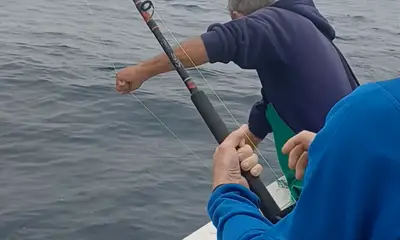 Great fishing trip, caught lots of Yellowfin Tuna