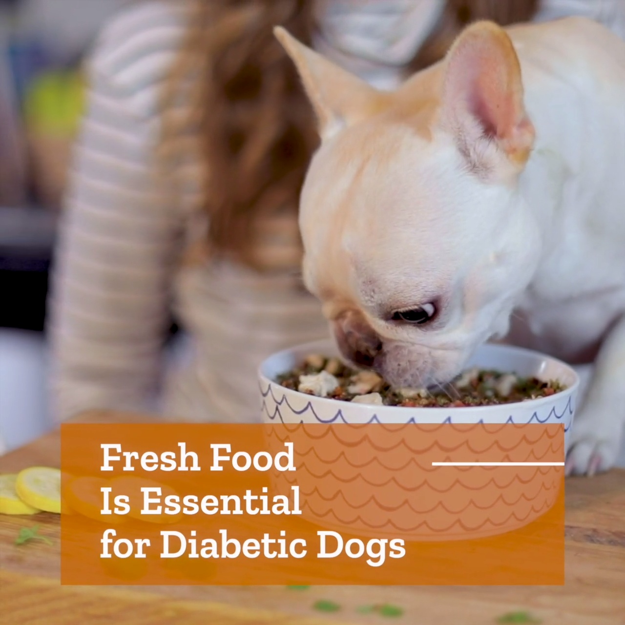 dr harvey's diabetic dog food