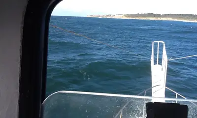 Montauk Report Video 0