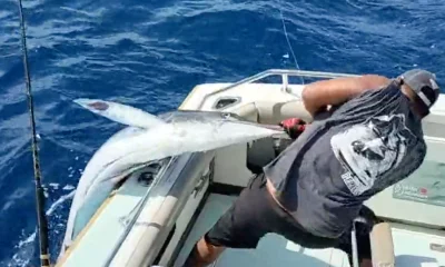 Cabo San Lucas Report Video 1