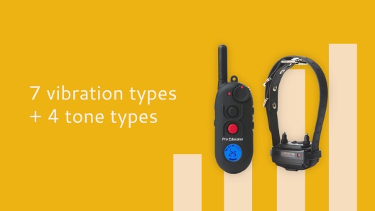 Play Video: Learn More About Educator From Our Team of Experts