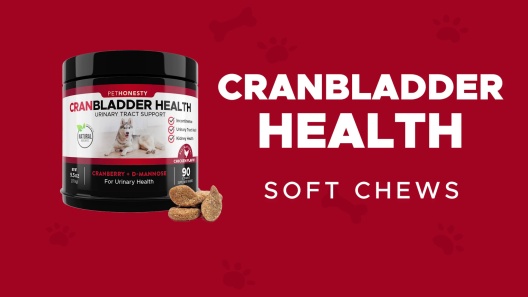 Pet Honesty Bladder and Kidney Health Cranberry and Chicken Chewy Dog – Pet  Life