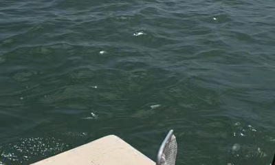 Just a fish shy of our limit on slot reds & trout