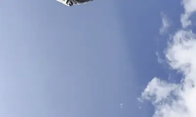 Great Trip! Lots of Bass! Entertaining Captain! 