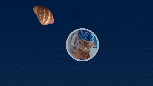 9 Lives Pate Favorites Variety Pack Canned Cat Food