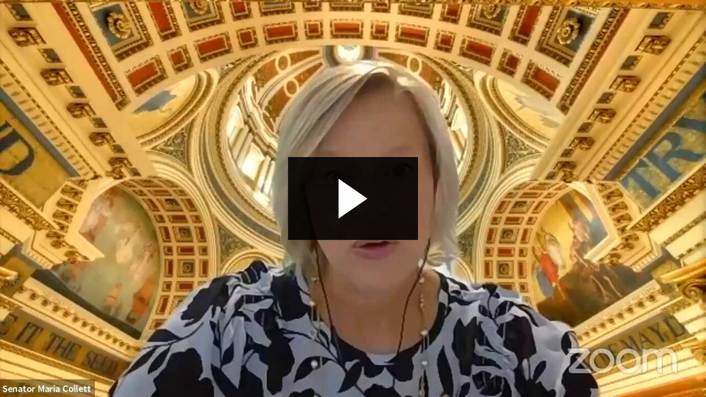 Senator Collett's Opening Remarks on Responsible School Re-Opening :: August 3, 2020
