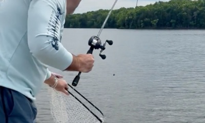 Mt. Juliet Report Video 0