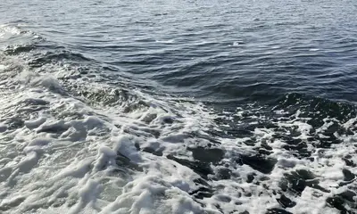 great times, great fishing, great captain and crew!! 