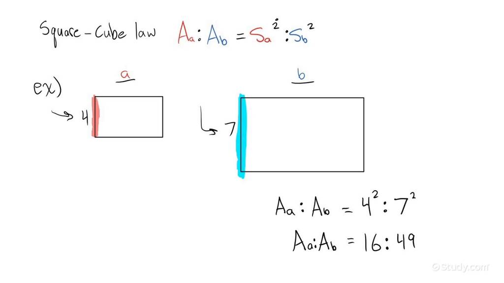 how-to-find-ratio-of-area-of-similar-figures-drama-study