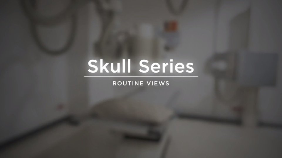 Skull | Video Lesson | Clover Learning