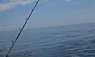 Virginia Beach Report Video 0