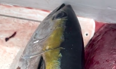 Paquera Report Video 3