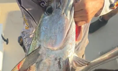 Pompano Beach Report Video 0