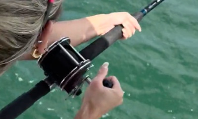 Tampa Report Video 2
