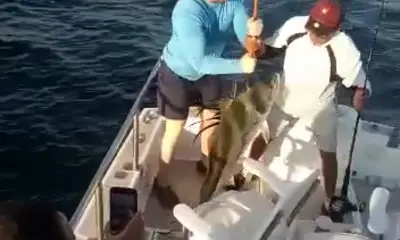 Cabo San Lucas Report Video 0