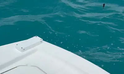 Captain Danny was amazing!