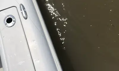 Venice Report Video 0