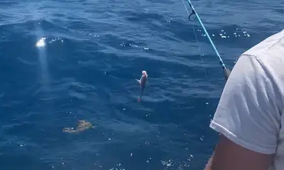 Boynton Beach Report Video 2