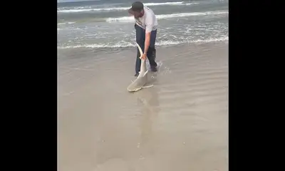 New Smyrna Beach Report Video 0
