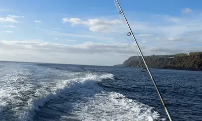 Good fishing! 