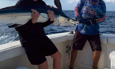 Cancún Report Video 1