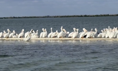 Five stars all the way!