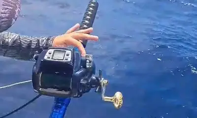 Puerto Morelos Report Video 0