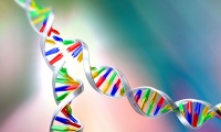 The Importance of DNA Synthesis